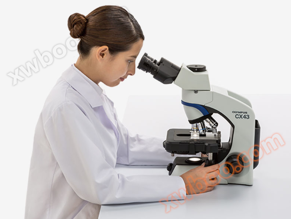 CX43/CX33常规显微镜