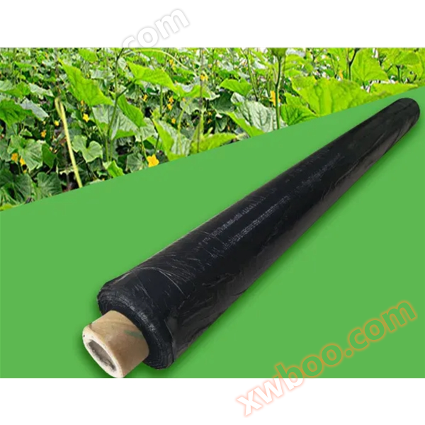 Płona degradująca PLA 0,01 mm